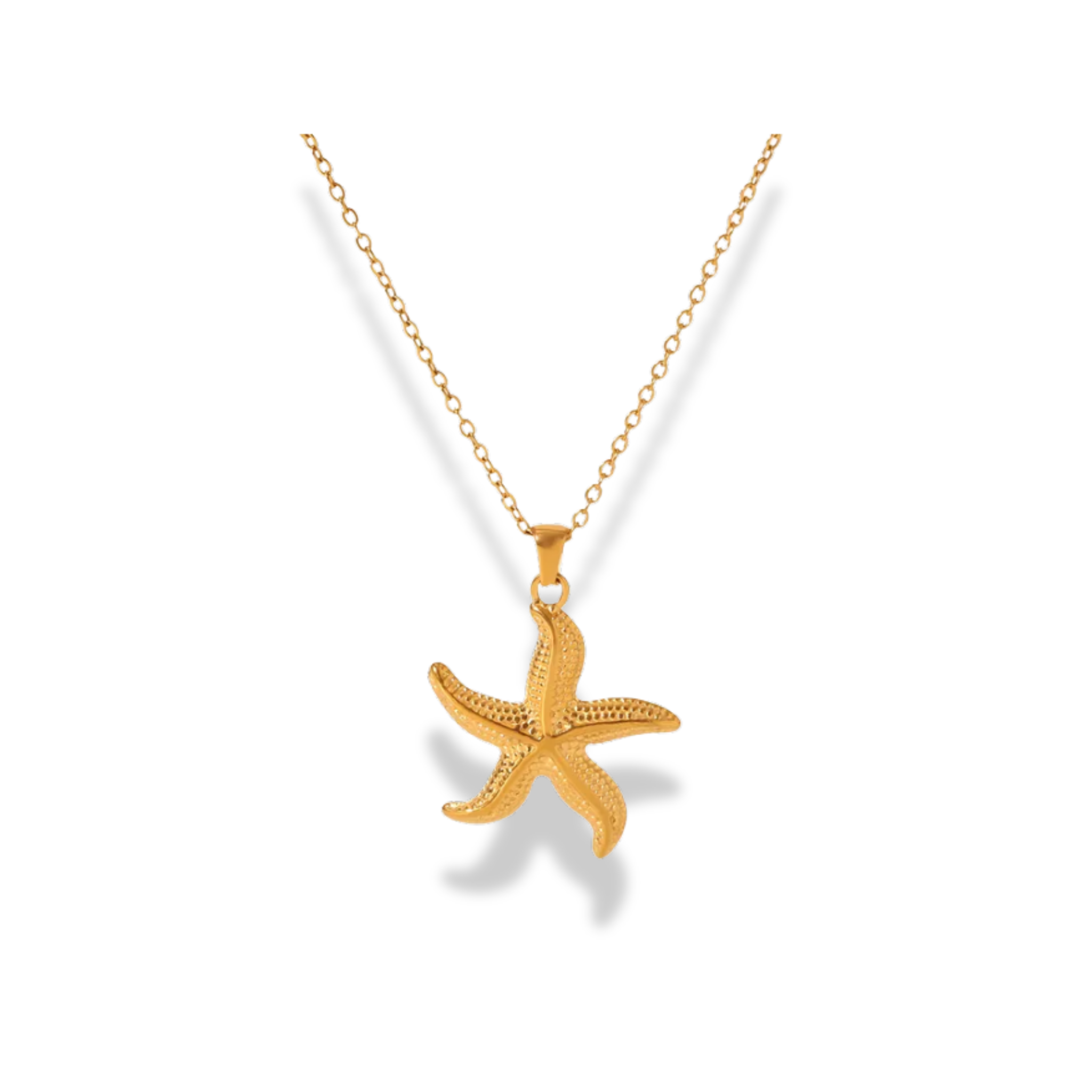 Cadena con dije de estrella de mar