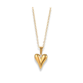 Cadena con dije de corazón alargado