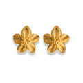 Aretes de flor tropical OL